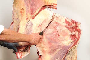 Neck and Chuck Eye bone in Meat Cut Spec Step 6